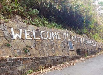india/aizawl/attraction/city-forest