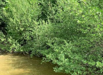 maldives/maafushi/attraction/bodahuraa-kulhi