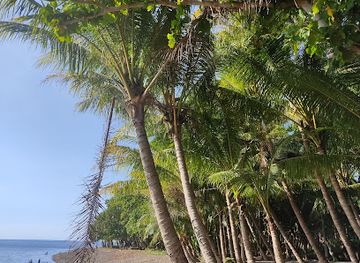 papua-new-guinea/east-new-britain/attraction/pilapila-beach