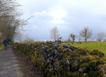 ireland/county-clare/attraction/dromore-castle