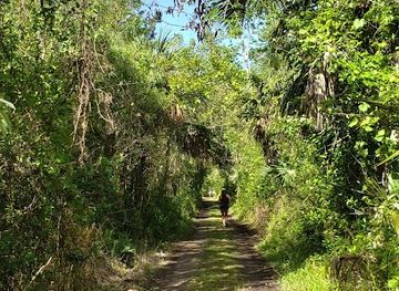 florida/fakahatchee-strand-preserve-state-park/attraction/friends-of-fakahatchee