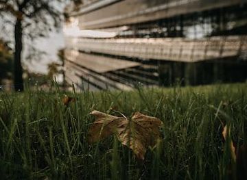 hungary/budapest/attraction/museum-of-ethnography