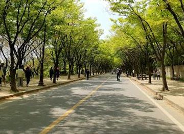 south-korea/seoul/attraction/incheon-grand-park