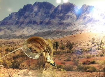 argentina/cuyo/attraction/museo-de-ciencias-naturales-y-antropologicas-juan-cornelio-moyano