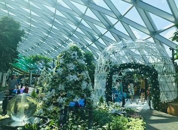 singapore/changi/attraction/cactus-garden