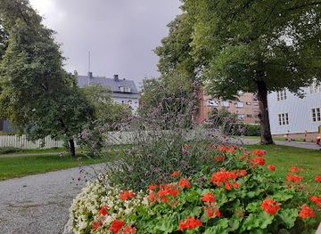 finland/tampere/attraction/fish-bear