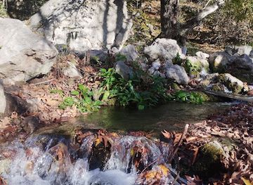 armenia/shikahogh-state-reserve/attraction/qotur-su-bulagi