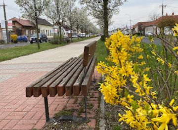 hungary/kecskemet/attraction/cseresznyefasor