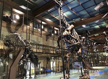 Royal Belgian institute of Natural Sciences