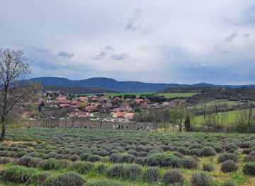 hungary/borzsony-mountains/attraction/proud-mountain-lavender-meadow