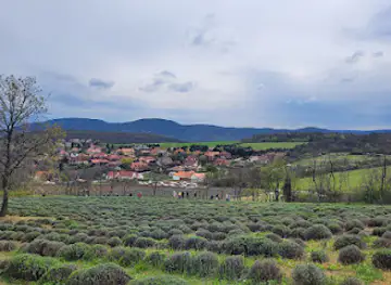 Proud Mountain Lavender Meadow