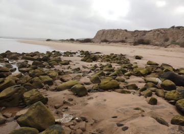 pakistan/makran-coast/attraction/sonmiani-bay