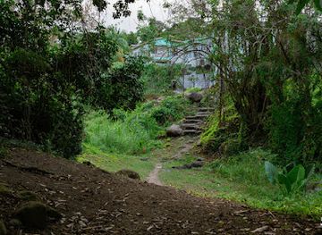 saint-kitts-and-nevis/cayon/attraction/river-to-spooners