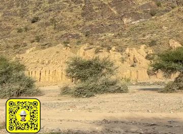 saudi-arabia/taif/attraction/images-from-the-waht