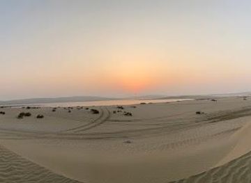 qatar/al-sheehaniya/attraction/best-desert-safari-qatar