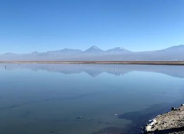 chile/san-pedro-de-atacama/attraction/laguna-chaxa