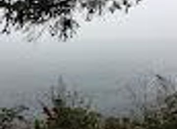 washington/marysville/attraction/orca-view