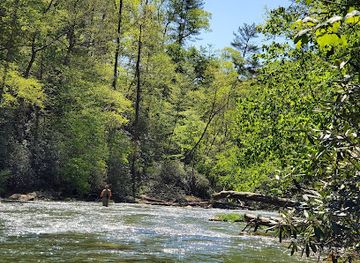 south-carolina/table-rock-state-park/attraction/ellicott-rock-wilderness