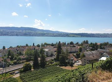 switzerland/zurich-lake/attraction/goethebankli