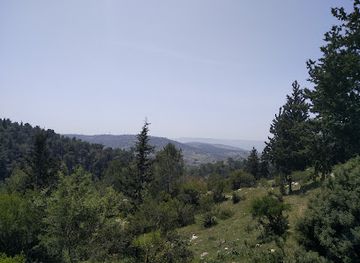 israel/northern-district/attraction/kiryat-ata-forest