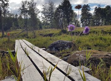 sweden/ostergotland/attraction/orbacken-naturreservat