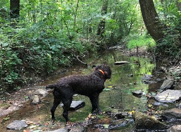 north-carolina/uwharrie-national-forest/attraction/tot-hill-farm-trailhead