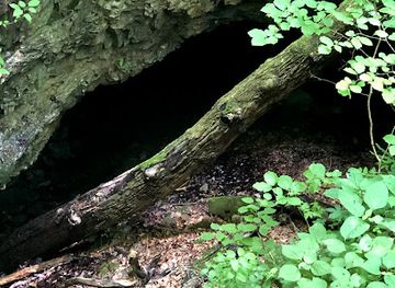 kentucky/mammoth-cave-national-park/attraction/dixon-cave