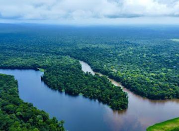 costa-rica/tortuguero-national-park/attraction/la-pavona-jungle-expeditions-boat-tours-in-to-tortuguero