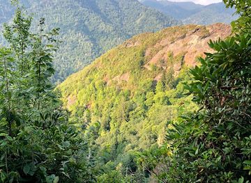 tennessee/appalachian-mountains/attraction/inspiration-point