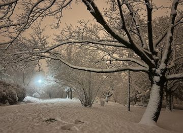 hungary/budapest/gellert-hill/attraction/orias-kocsanytalan-tolgy