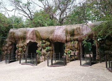 mexico/chiapas/attraction/zoomat