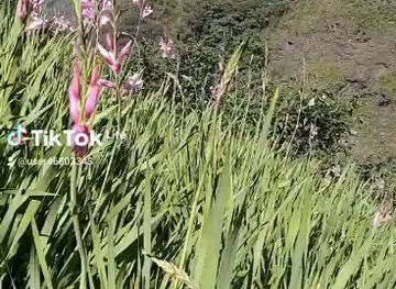 bolivia/yungas-road/attraction/tres-marias