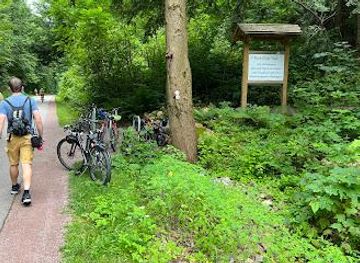 vermont/stowe/attraction/rock-point-trail-loop