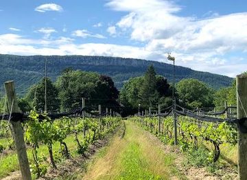 new-york/poughkeepsie/attraction/whitecliff-vineyard-winery