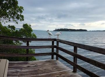 florida/st-petersburg-beach/attraction/leffis-key-preserve
