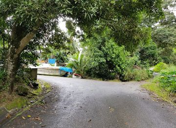 seychelles/beau-vallon/attraction/grand-anse-cascade-waterfall