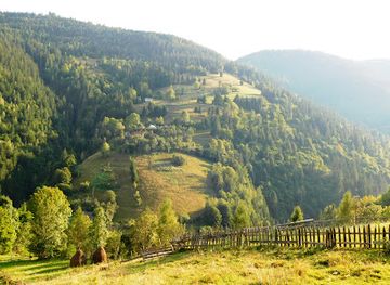 romania/apuseni-mountains/attraction/cheile-mandrutului