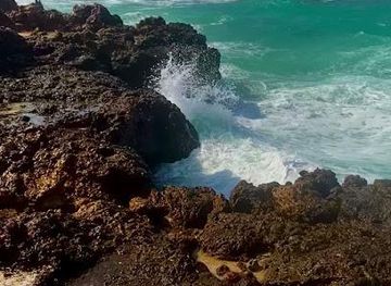 oman/muscat/attraction/nobles-marine-tours