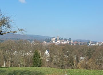 germany/taunus/attraction/kronthaler-quellen