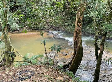 malaysia/borneo/attraction/perrez-riverside