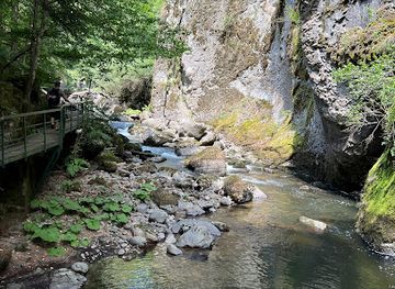 bulgaria/rhodopes/attraction/hrastevo-ecotrail