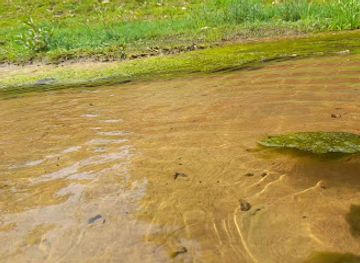 india/west-bengal/attraction/manur-the-original-valley-of-flowers