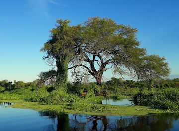 argentina/litoral/attraction/banado-la-estrella