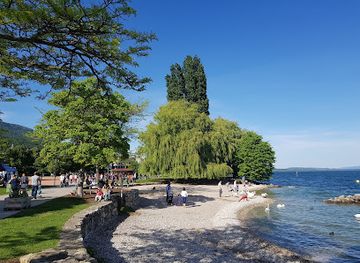 switzerland/neuchatel/attraction/festi-neuch