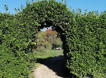 france/paris/attraction/ile-saint-germain-park