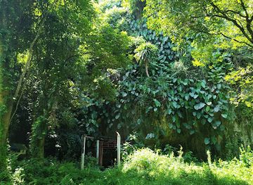 thailand/chiang-rai/attraction/tham-wai-cave