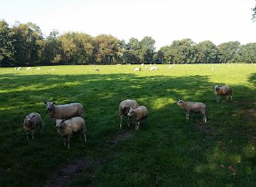 netherlands/friesland/attraction/stichting-de-friesch-groningsche-heide