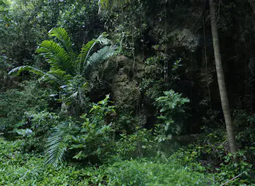 Russia Gully
