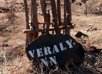 madagascar/antsiranana/attraction/baobab-veralynn-a-suarezensis