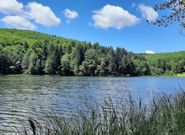 romania/caras-severin/attraction/semenic-cheile-carasului-national-park